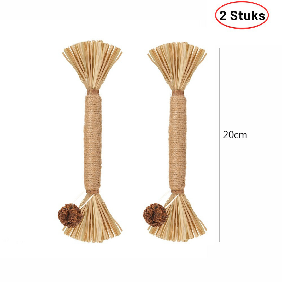 Naturalna Patyk Silvervine dla Kotów