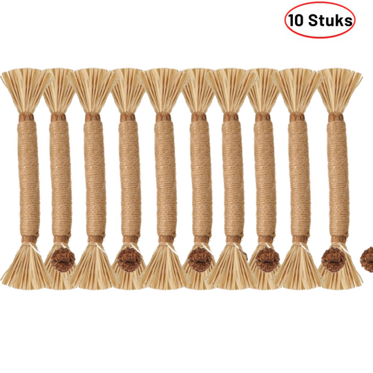 Naturalna Patyk Silvervine dla Kotów