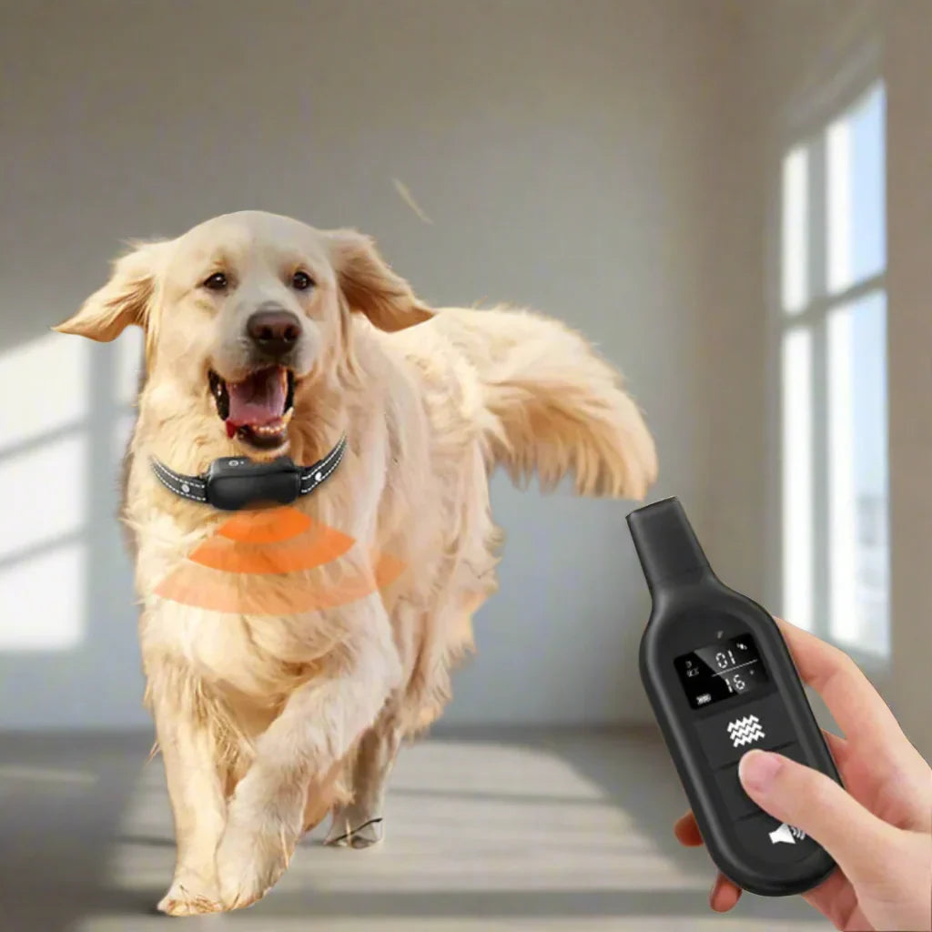 Elektroniczna Obroża Szkoleniowa dla Psów z Pilotem i Wieloma Trybami Szkoleniowymi