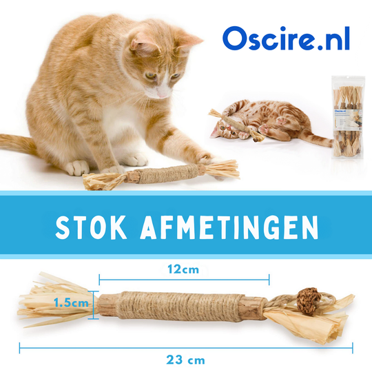 Naturalna Patyk Silvervine dla Kotów