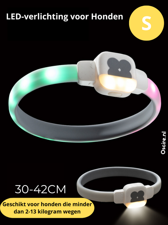Obroża LED dla Psów | Spraw, aby Twój Pies Lśnił w Ciemności