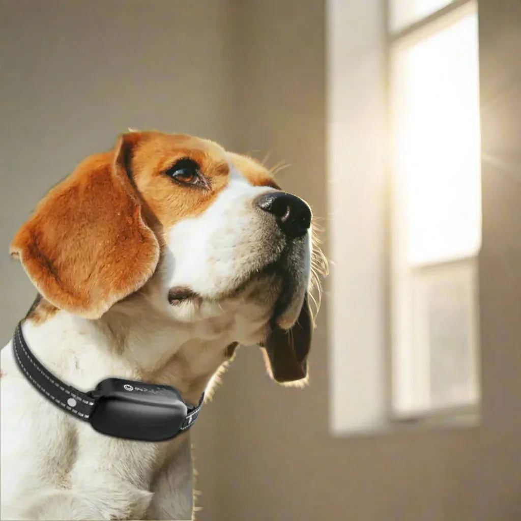 Elektroniczna Obroża Szkoleniowa dla Psów z Pilotem i Wieloma Trybami Szkoleniowymi