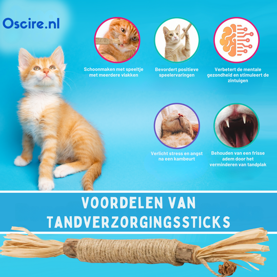 Naturalna Patyk Silvervine dla Kotów