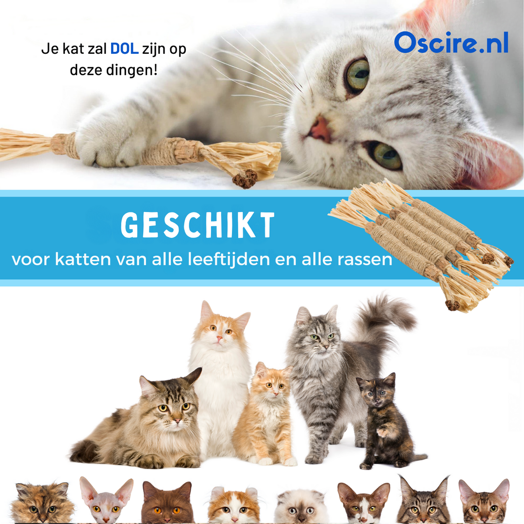 Naturalna Patyk Silvervine dla Kotów