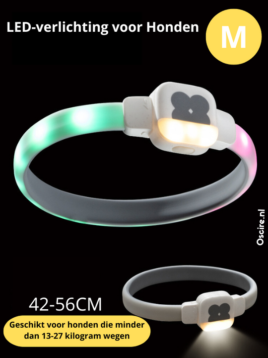 Obroża LED dla Psów | Spraw, aby Twój Pies Lśnił w Ciemności