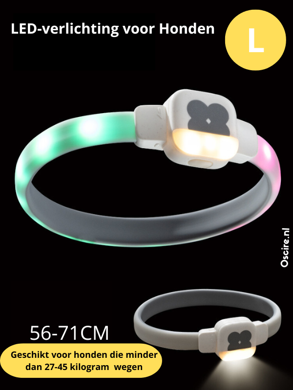 Obroża LED dla Psów | Spraw, aby Twój Pies Lśnił w Ciemności