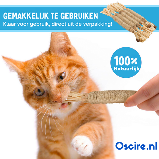 Naturalna Patyk Silvervine dla Kotów