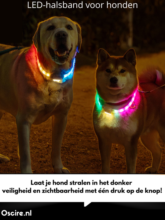 Obroża LED dla Psów | Spraw, aby Twój Pies Lśnił w Ciemności