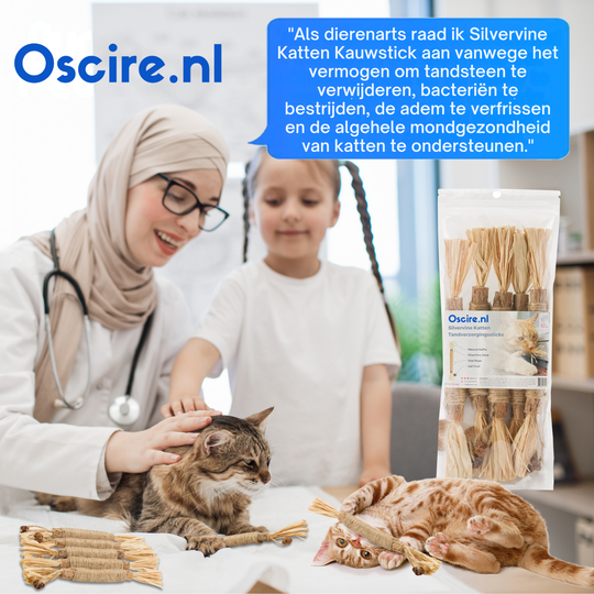 Naturalna Patyk Silvervine dla Kotów