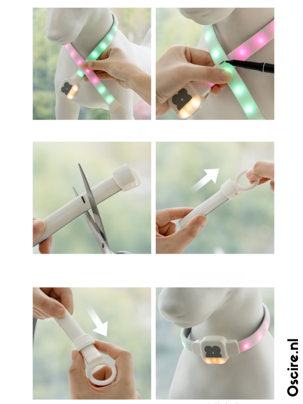 Obroża LED dla Psów | Spraw, aby Twój Pies Lśnił w Ciemności