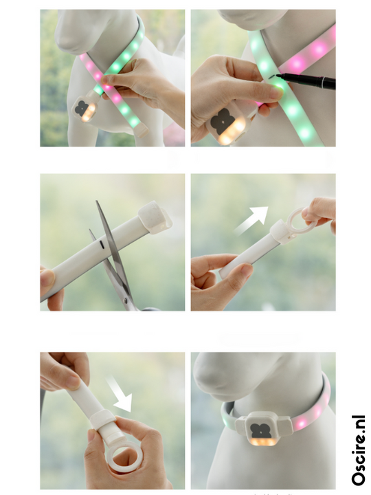 Obroża LED dla Psów | Spraw, aby Twój Pies Lśnił w Ciemności