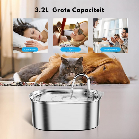 Filtrująca Fontanna dla Zwierząt | Świeża Woda i Szczęśliwe Zwierzęta