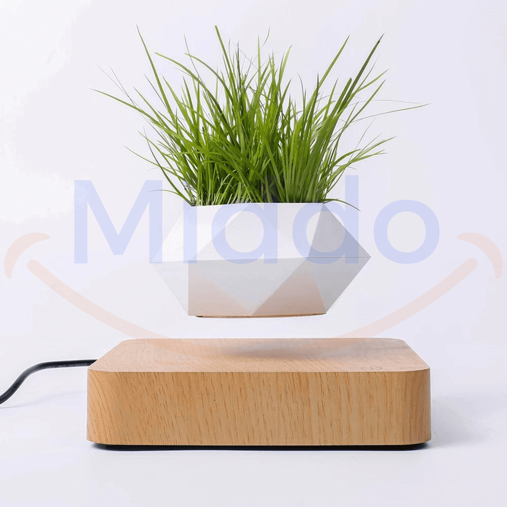 FloatPot™ | Magiczna Doniczka Pływająca do Nowoczesnej Dekoracji Wnętrz