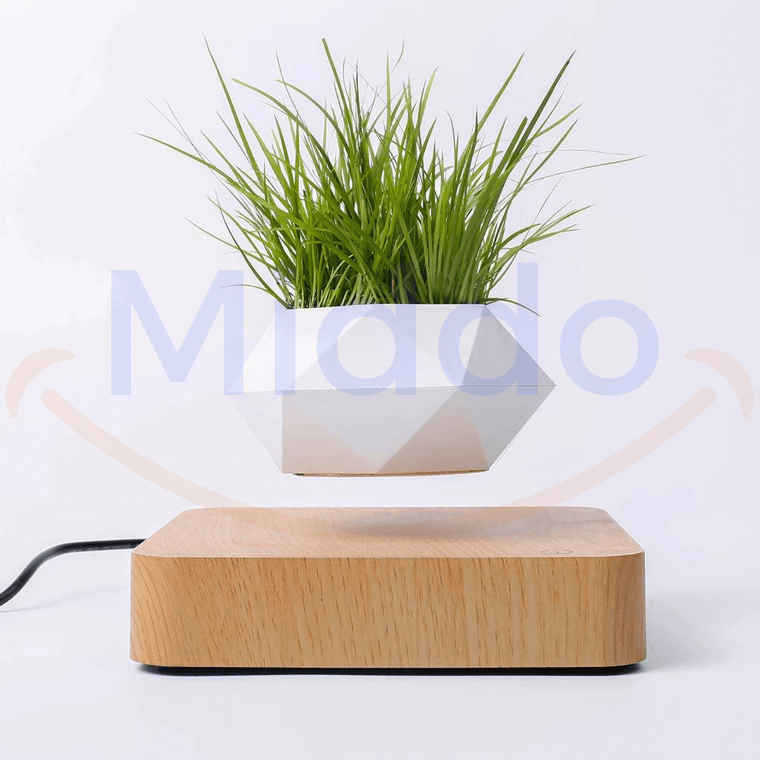 FloatPot™ | Magiczna Doniczka Pływająca do Nowoczesnej Dekoracji Wnętrz