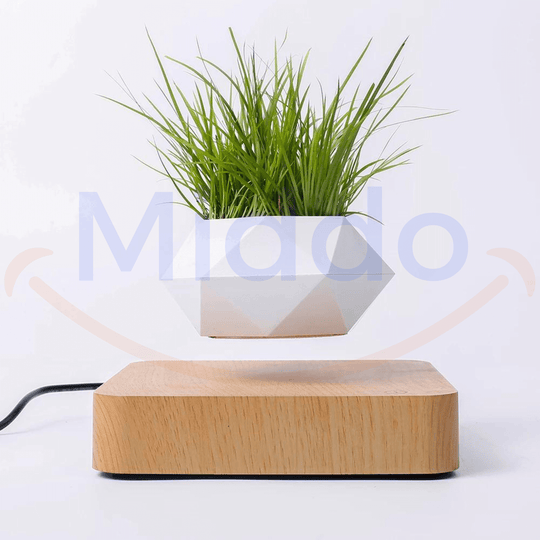 FloatPot™ | Magiczna Doniczka Pływająca do Nowoczesnej Dekoracji Wnętrz