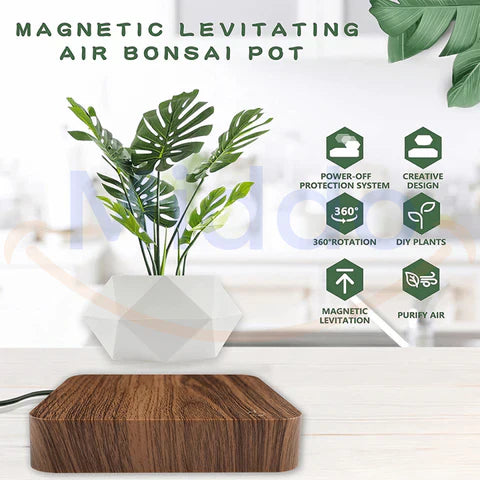 FloatPot™ | Magiczna Doniczka Pływająca do Nowoczesnej Dekoracji Wnętrz