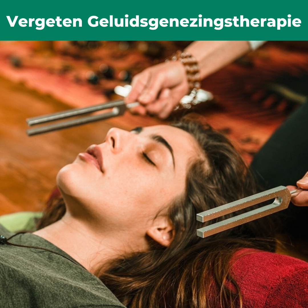 528 Hz "Częstotliwość Miłości" Instrument Leczący + Bonusy