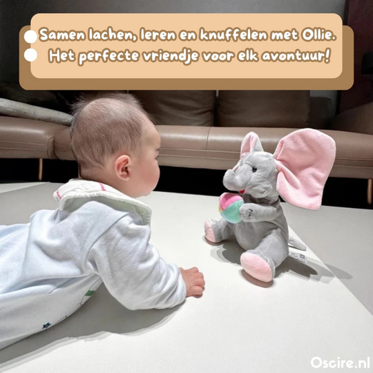 Ollie Słoń | Wesoły przyjaciel słonia