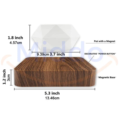 FloatPot™ | Magiczna Doniczka Pływająca do Nowoczesnej Dekoracji Wnętrz