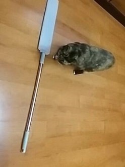 EasyClean™ | Rozszerzalna Ściereczka do Czyszczenia Miejsc Trudno Dostępnych