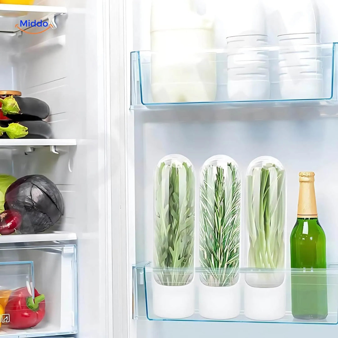 FreshHerbKeeper™ | Przechowywanie w Chłodzie Ziół dla Kolendry, Pietruszki i Więcej