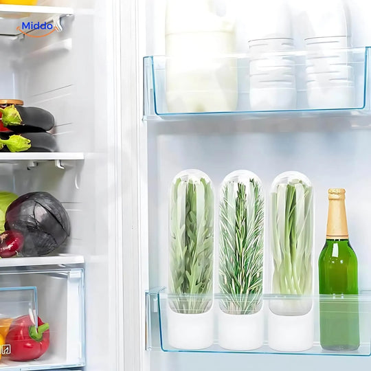 FreshHerbKeeper™ | Przechowywanie w Chłodzie Ziół dla Kolendry, Pietruszki i Więcej