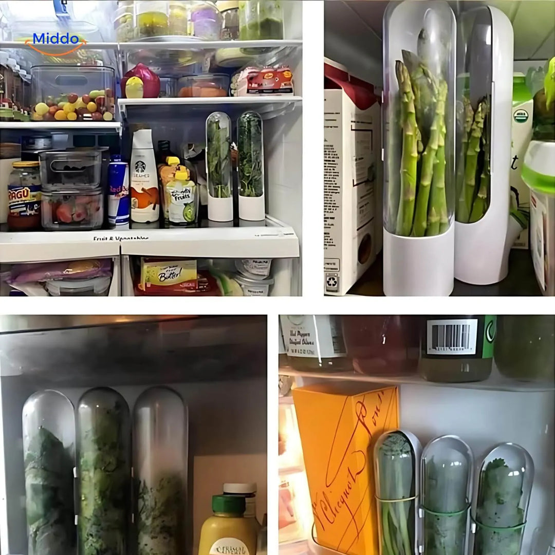 FreshHerbKeeper™ | Przechowywanie w Chłodzie Ziół dla Kolendry, Pietruszki i Więcej