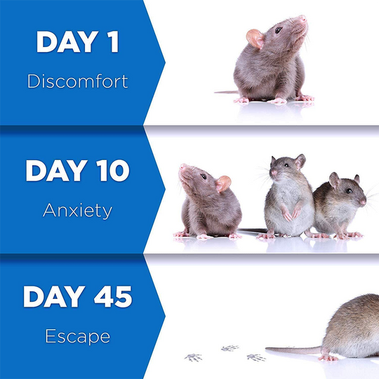 Pest Reject™ | Koniec z uciążliwymi owadami!